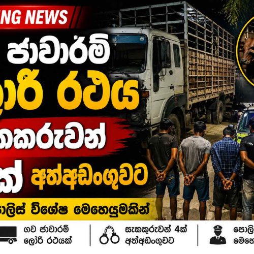ගව ජාවාරම් ලොරි රථයට පොලිස් වෙඩි — සැකකරුවන් 4ක් අත්අඩංගුවට